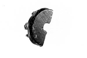 perle, fragment, image 3/3