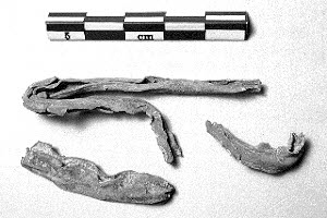 vitrail, image 3/3