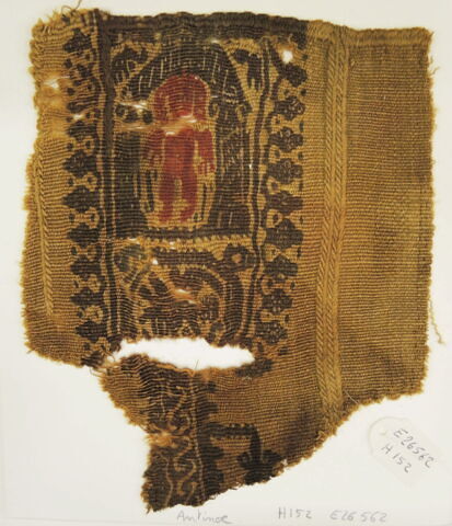 clavus ; fragment, image 2/2