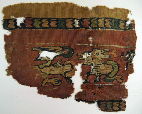 clavus ; fragment, image 2/2