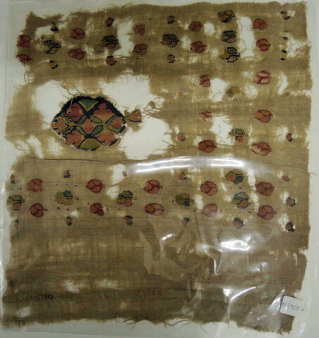 tunique  ; fragment, image 2/2