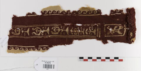clavus ; fragment