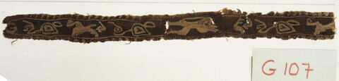 clavus ; fragment, image 2/2