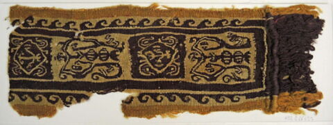 clavus ; fragment, image 2/2