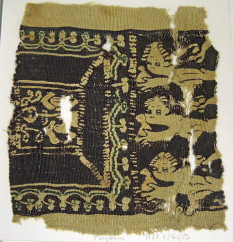 clavus ; fragment, image 2/2