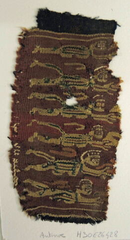 clavus ; fragment, image 2/2