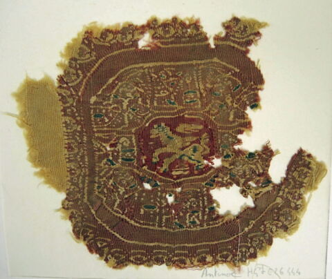 orbiculus ; fragment, image 2/2