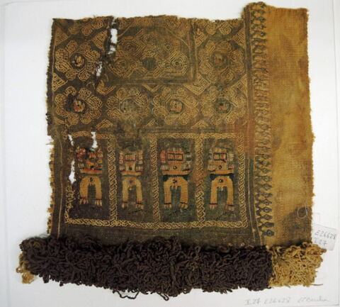 clavus ; fragment, image 2/2