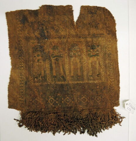 clavus ; fragment, image 2/2