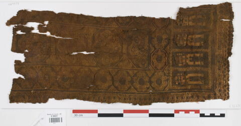 clavus ; fragment