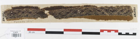 clavus ; fragment