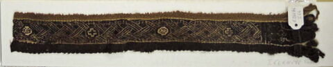 clavus ; fragment, image 2/2