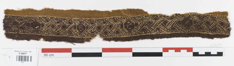 clavus ; fragment