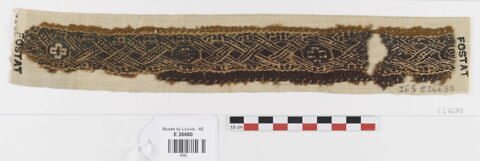 clavus ; fragment
