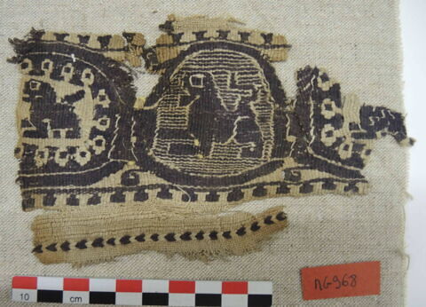 clavus, image 2/2