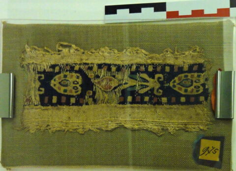 clavus ; fragment, image 2/2