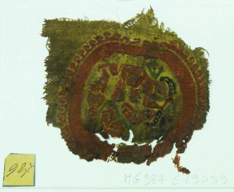 orbiculus ; fragment, image 2/2