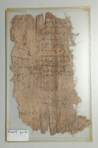 papyrus, image 2/3
