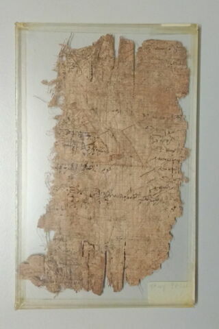 papyrus, image 3/3
