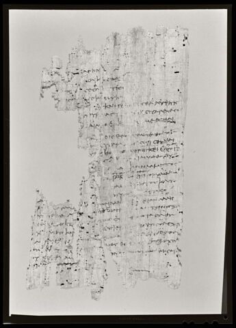 papyrus documentaire, image 3/3
