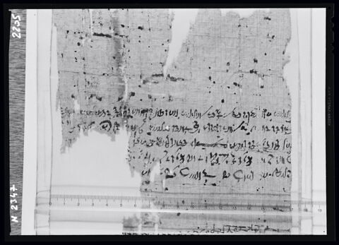 papyrus documentaire, image 2/3