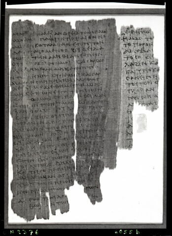 papyrus documentaire, image 4/4