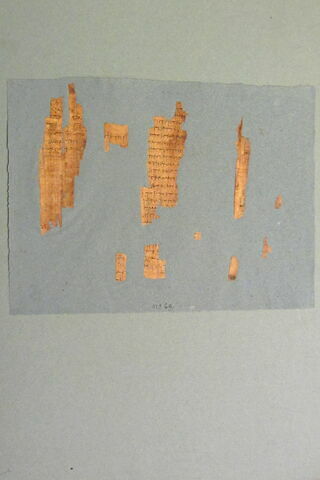 papyrus documentaire, image 7/7