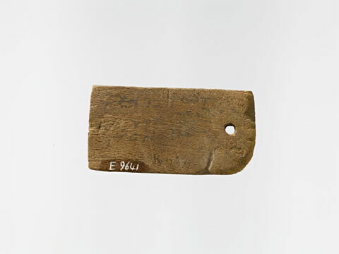 étiquette de momie rectangulaire