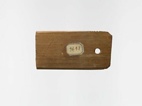étiquette de momie rectangulaire, image 2/2