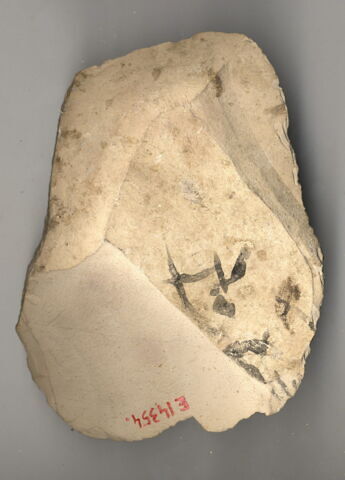 ostracon, image 3/3