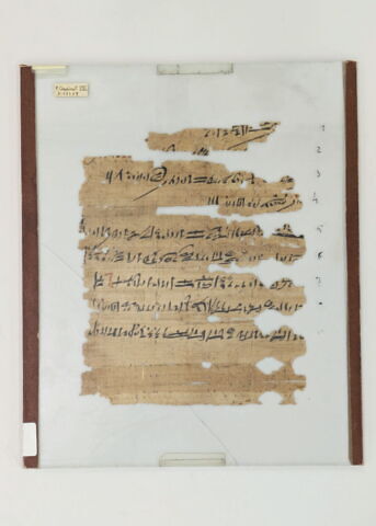Papyrus Chassinat 8