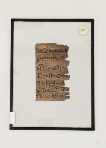 Papyrus Chassinat 12