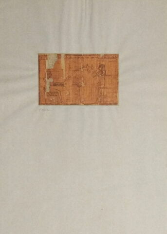 papyrus