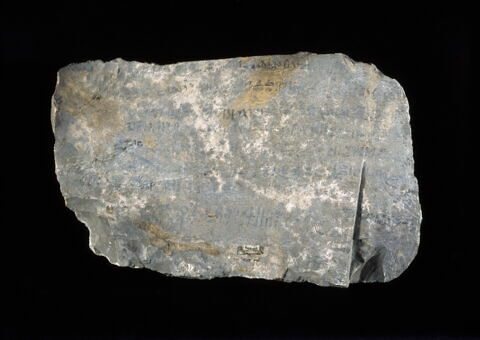 ostracon, image 5/5