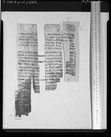 papyrus funéraire, image 2/3