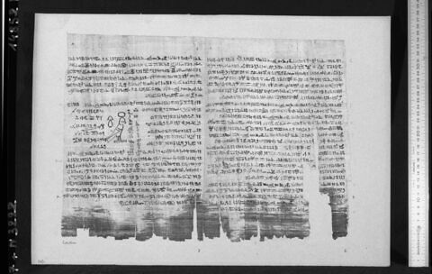 papyrus funéraire, image 3/3