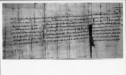 papyrus documentaire, image 5/6