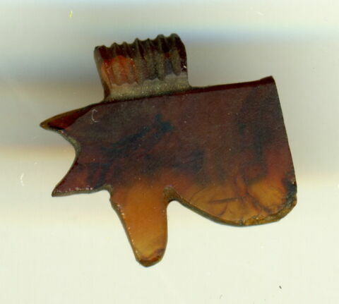 amulette oudjat sommaire
