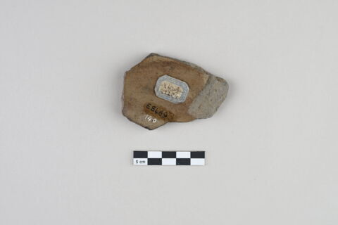 ostracon, image 2/3