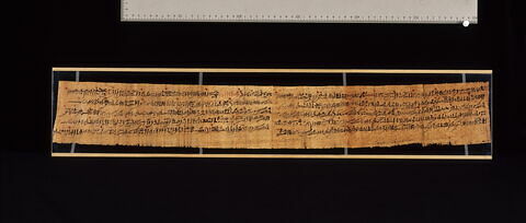 papyrus magique, image 2/2