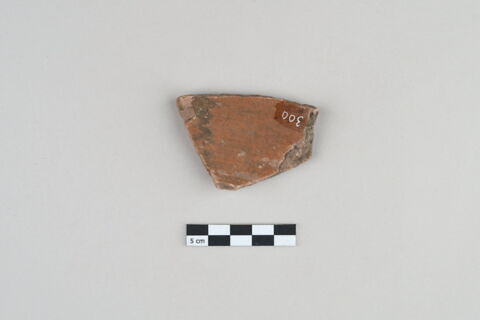 ostracon, image 2/4