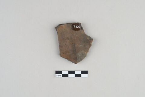 ostracon, image 2/3