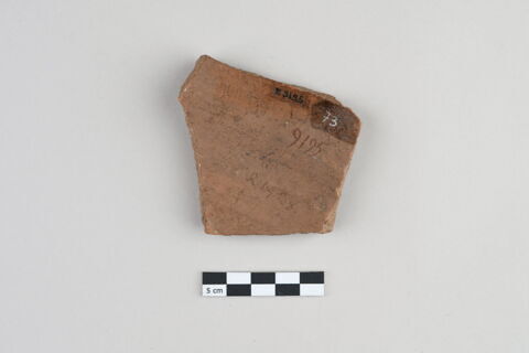 ostracon, image 2/3