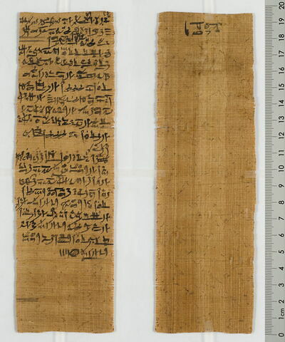 papyrus magique