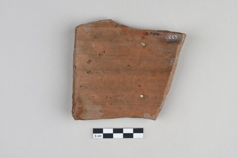 ostracon, image 2/3