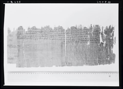 papyrus documentaire, image 4/5