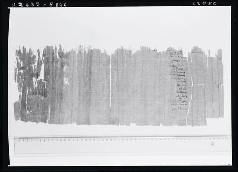 papyrus documentaire, image 5/5