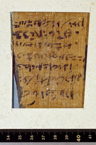 papyrus documentaire, image 2/4
