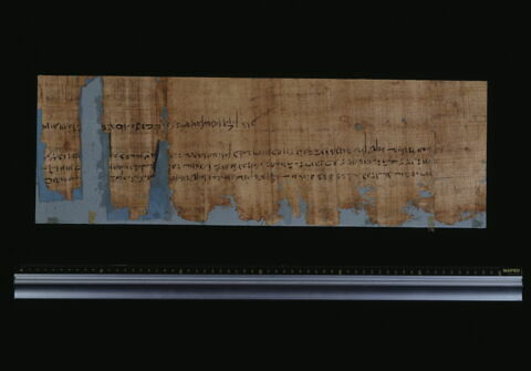 papyrus documentaire, image 3/4