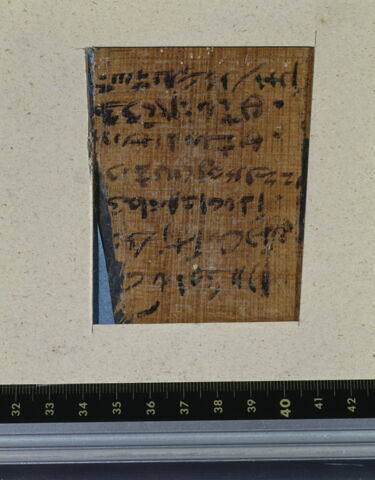 papyrus documentaire, image 4/4